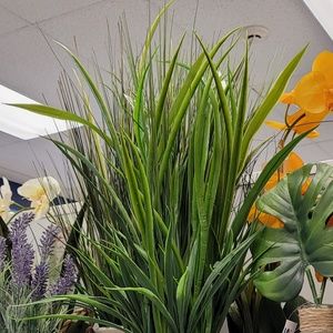 Meet your Posher, Drew